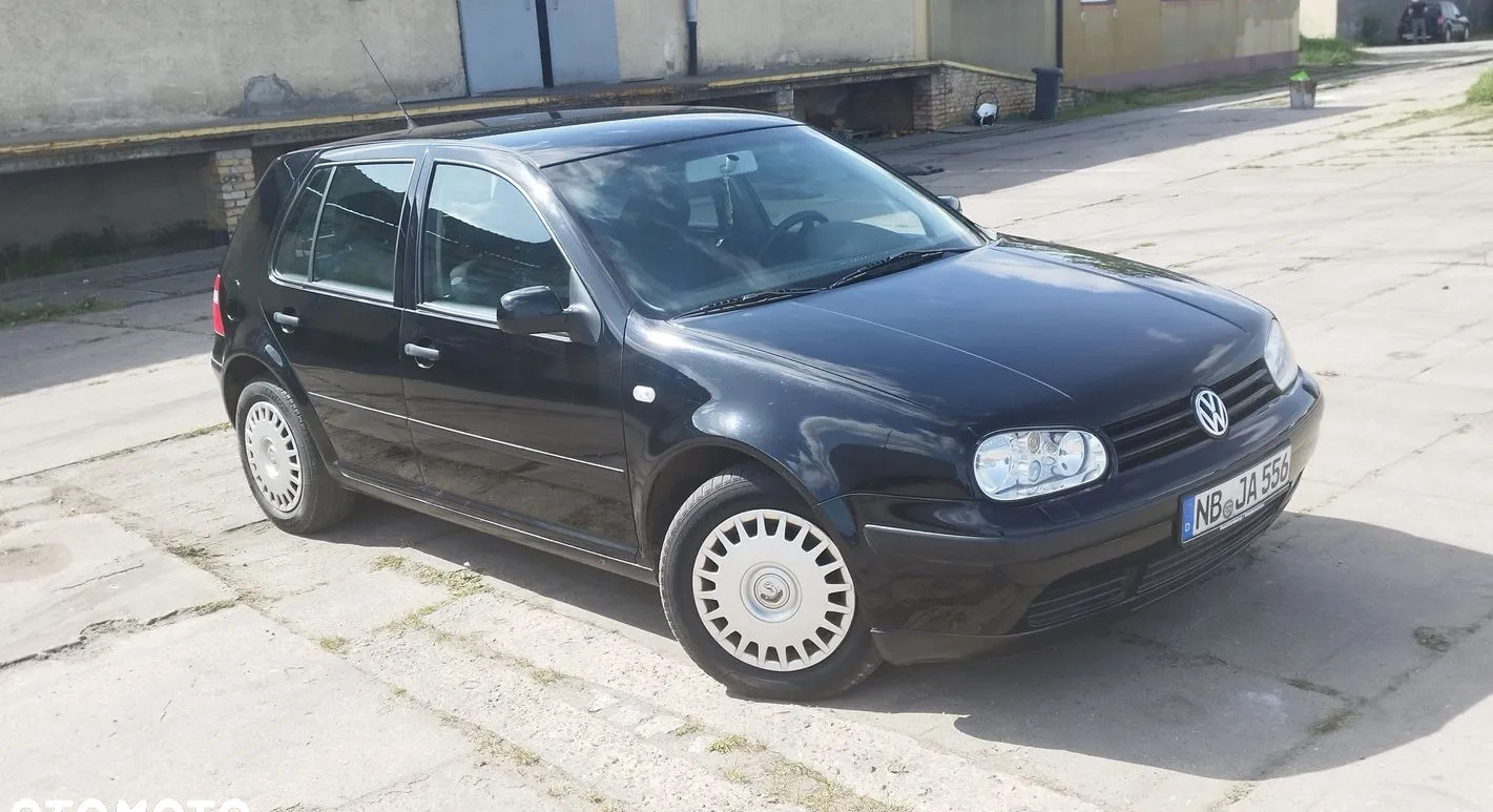 Volkswagen Golf cena 7900 przebieg: 159646, rok produkcji 2002 z Piwniczna-Zdrój małe 529